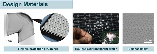 Design Bio-inspired (Multi)functional Materials research graphic